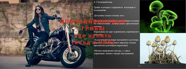 мдпв Покачи