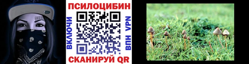 mega сайт магазин наркотиков Дмитровск Псилоцибиновые грибы Psilocybine cubensis